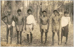 ଆଦିମ ଜାତି ଶଉର